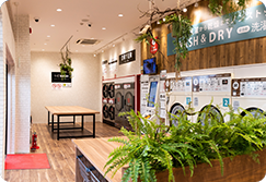 THE WASH 四日町店
